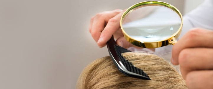 Как быстро и грамотно вылечить педикулез 4